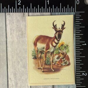 🌀10/$10🌀 Classic Hoofed Beasts Reusable Washi Sticker Decal